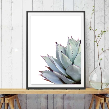 Trópusi Fali Dekor Kaktusz Vászon Nyomtatás Botanikus Művészet , Zamatos Kaktusz Vászon Festmény Wall Art Kép Botanikus Nyomatok